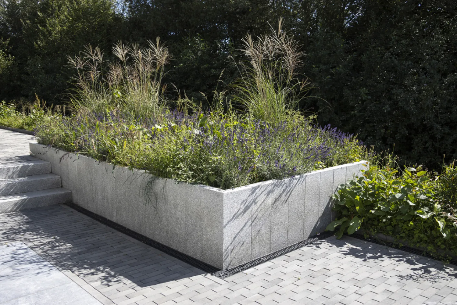 Natuursteen Opsluitband Graniet Lichtgrijs Piazzo