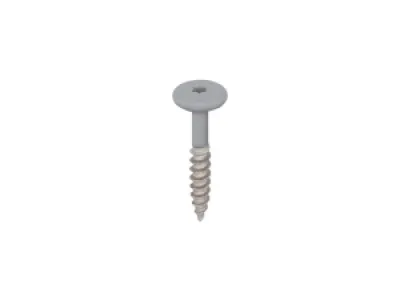 Keralit Schroef 30mm rvs neutraal torx20 (2801)