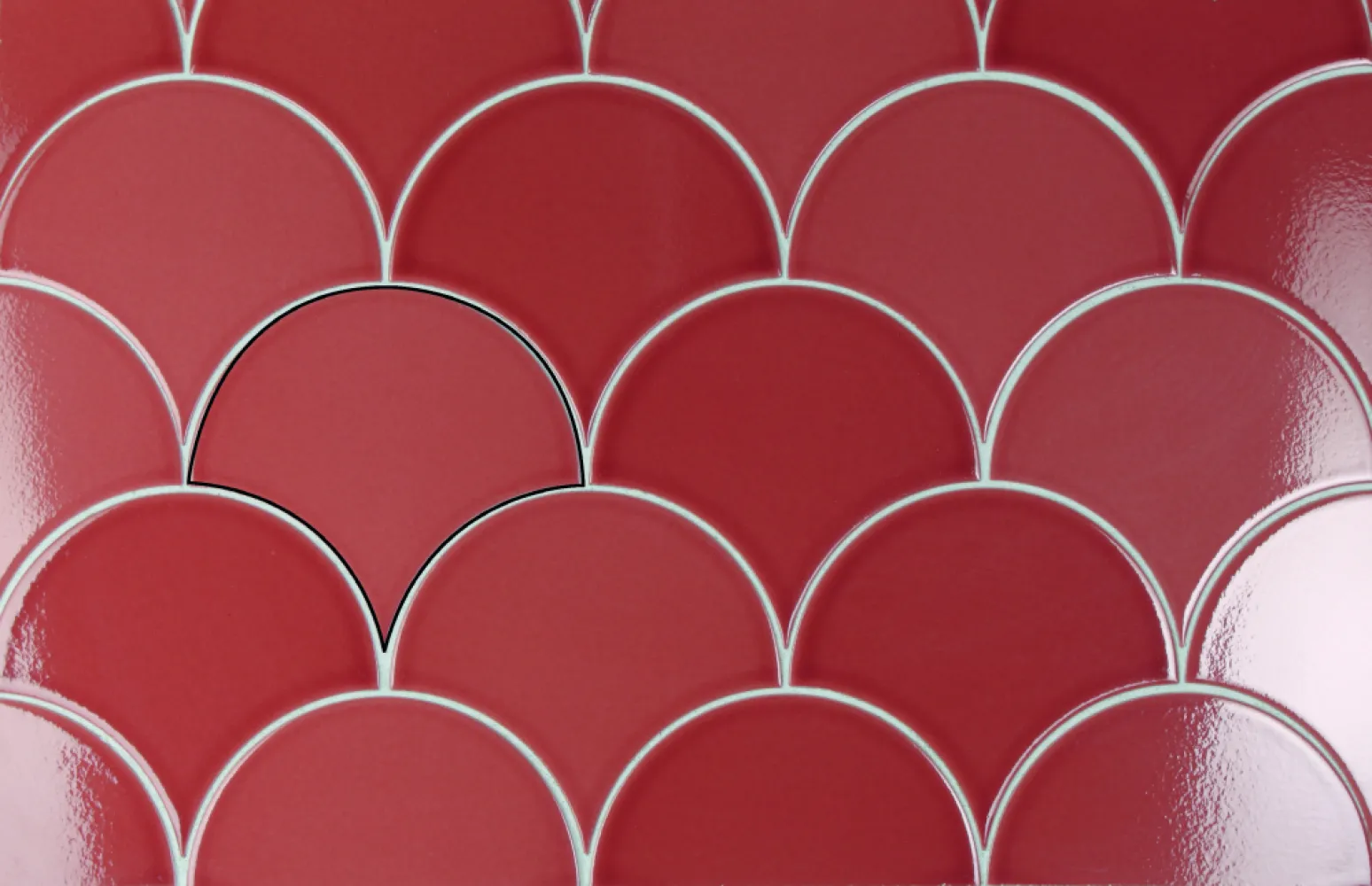 Stardos Dynamic Escamas