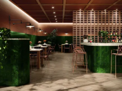 Stardos Genuine 6,5x20 cm