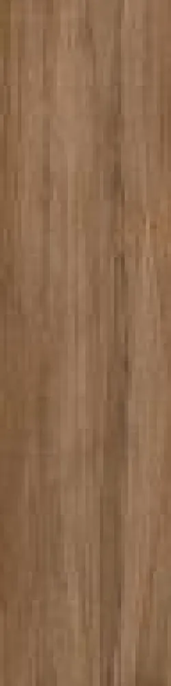 GeoCeramica Mywood Houtlook 120x30x4 cm