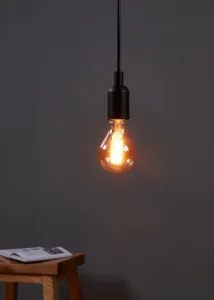 Lichtbron GOLDEN AGE E27 A75 300LM 1700K Dimbaar