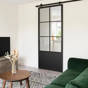 Stalen schuifdeur - 6 Vlaks - Helder glas + Kickplaat 1000 x 2150 mm