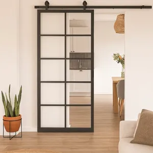 Stalen schuifdeur - 10 Vlaks - Helder glas 1000 x 2150 mm