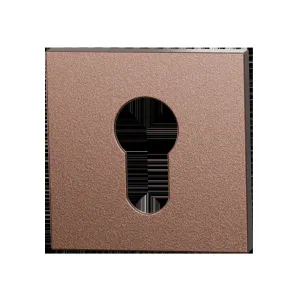 Set cilinderrozetten Entree vierkant 53x53mm Bronze blend