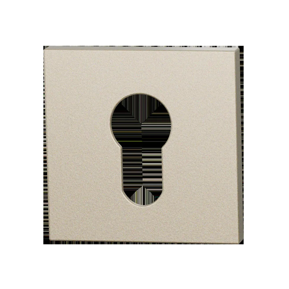 Set cilinderrozetten Entree vierkant 53x53mm Champagne blend