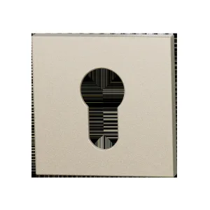 Set cilinderrozetten Entree vierkant 53x53mm Champagne blend