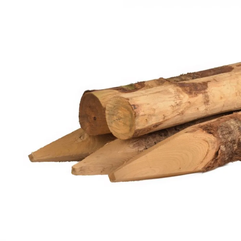 Kastanjepalen geschild gepunt