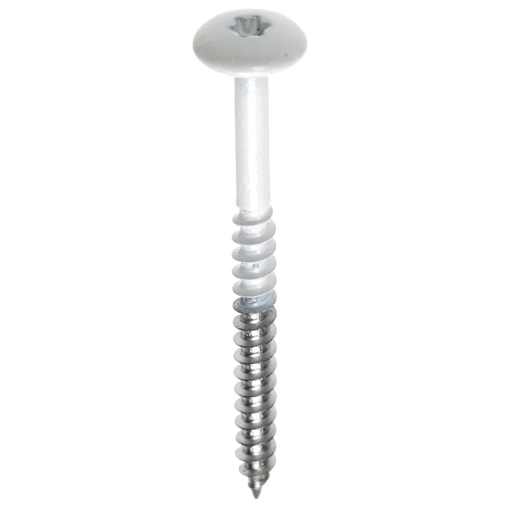 Fisinox kleurkopschroef 4.8 x 38 T-20 RVS A2, RAL 9010 wit