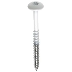 Fisinox kleurkopschroef 4.8 x 38 T-20 RVS A2, RAL 9010 wit