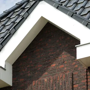 Unipanel bouwpaneel 610x16mm wit