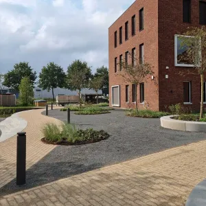 Olivijn greenSand Split