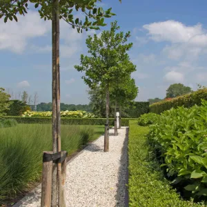 Duitse Witte Kwarts Grind