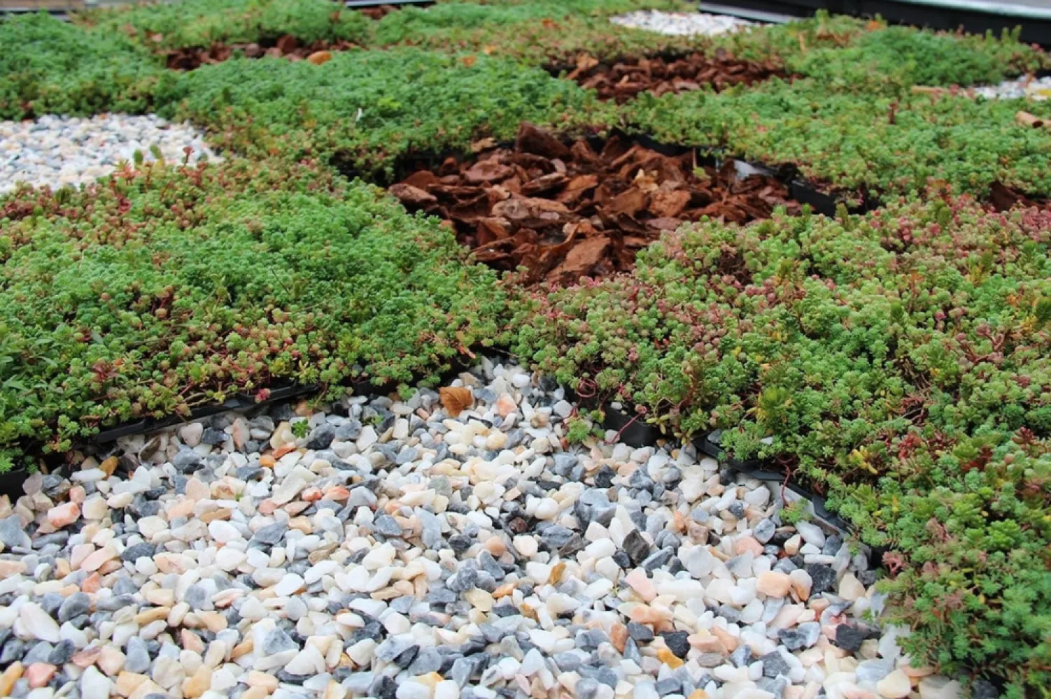 Flamingo Marble Split