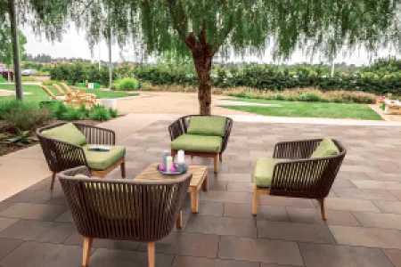 Eliton Supreme Linea 6cm