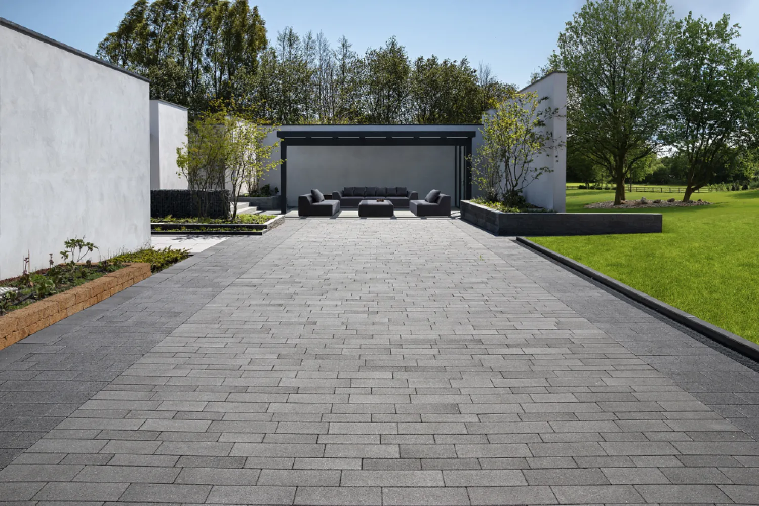 Eliton Supreme Linea 6cm