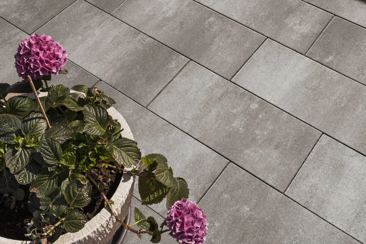 Smartton Linea 20x30x6 cm