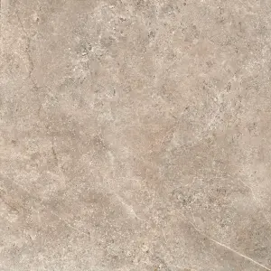 GeoCeramica Landstone 100x100x4